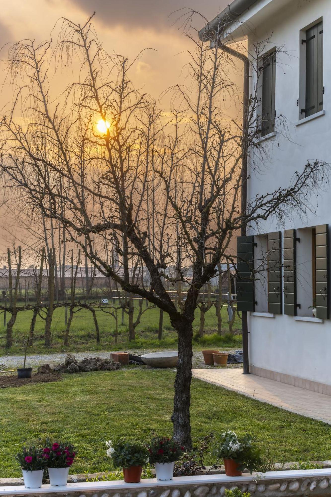 Agriturismo Al Botteniga 特雷维索 外观 照片