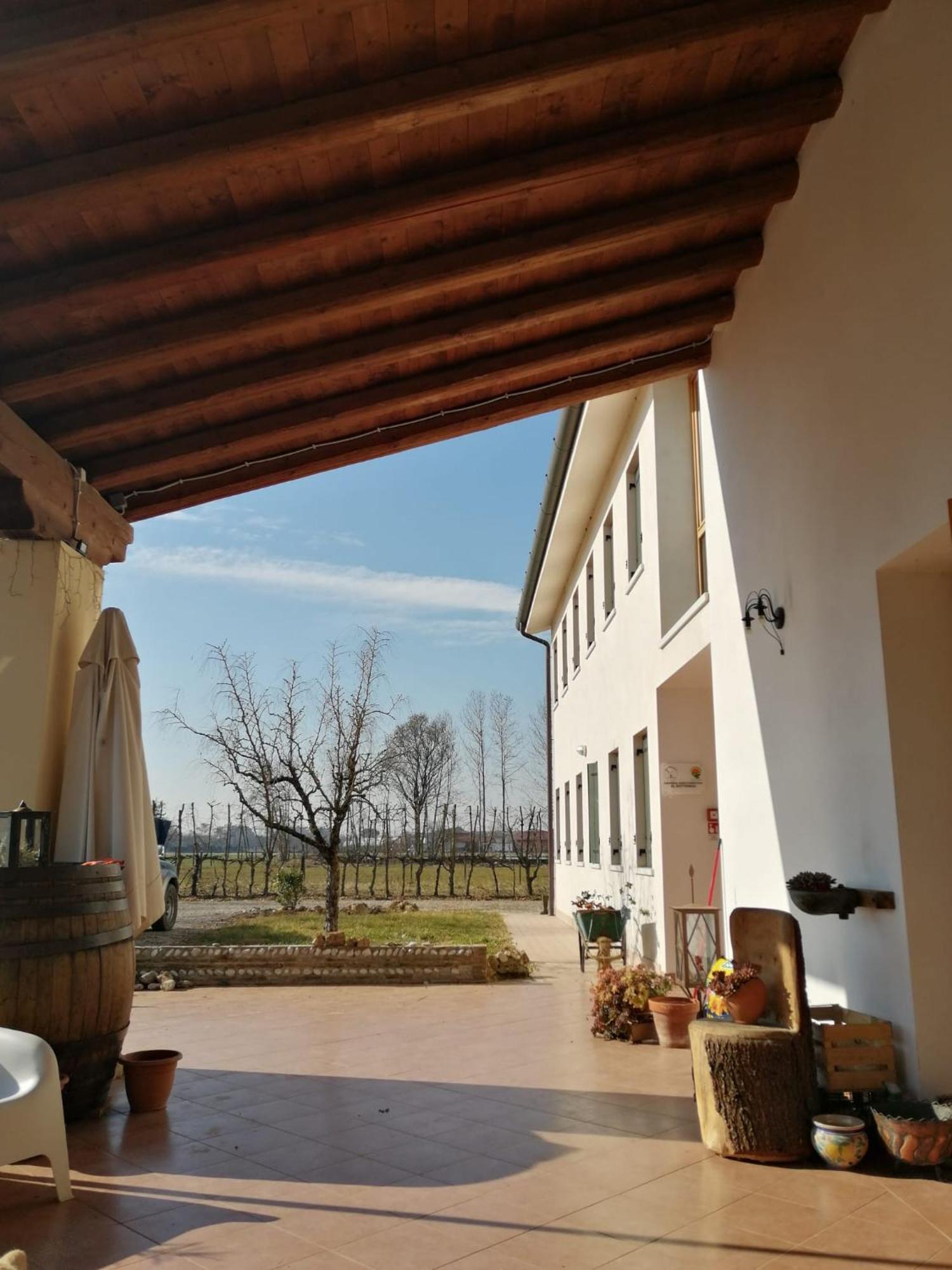 Agriturismo Al Botteniga 特雷维索 外观 照片