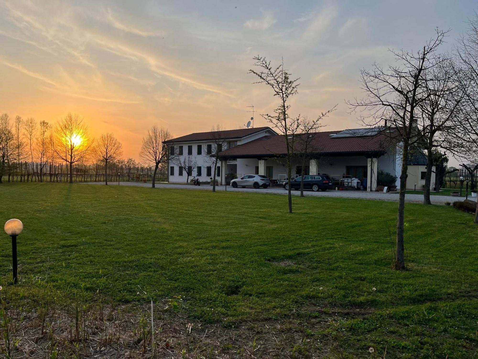 Agriturismo Al Botteniga 特雷维索 外观 照片