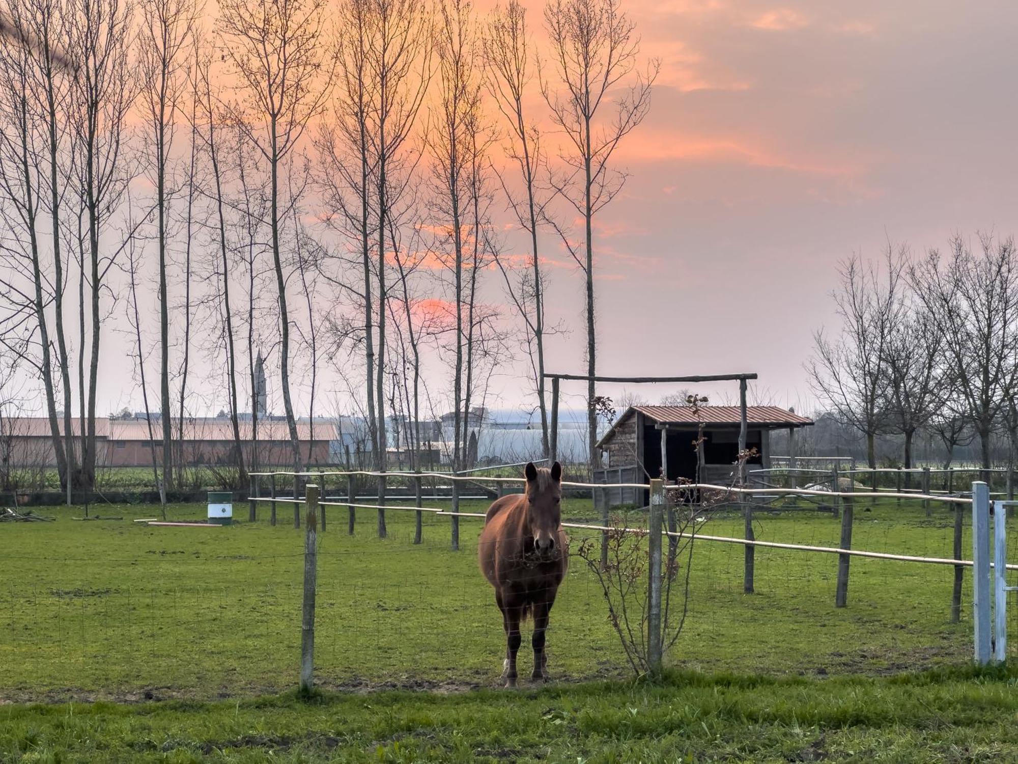 Agriturismo Al Botteniga 特雷维索 外观 照片